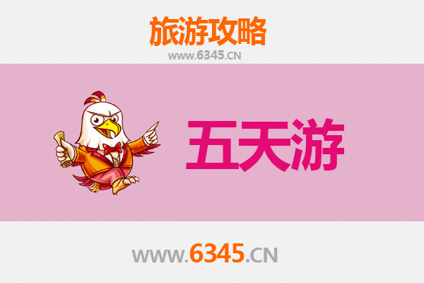 海南白沙阜龙乡五天四夜深度游攻略：雨林探秘与黎族文化体验